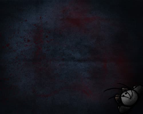 #116