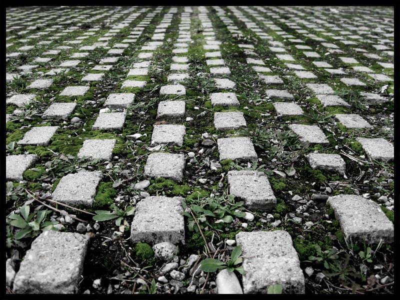 Verdun