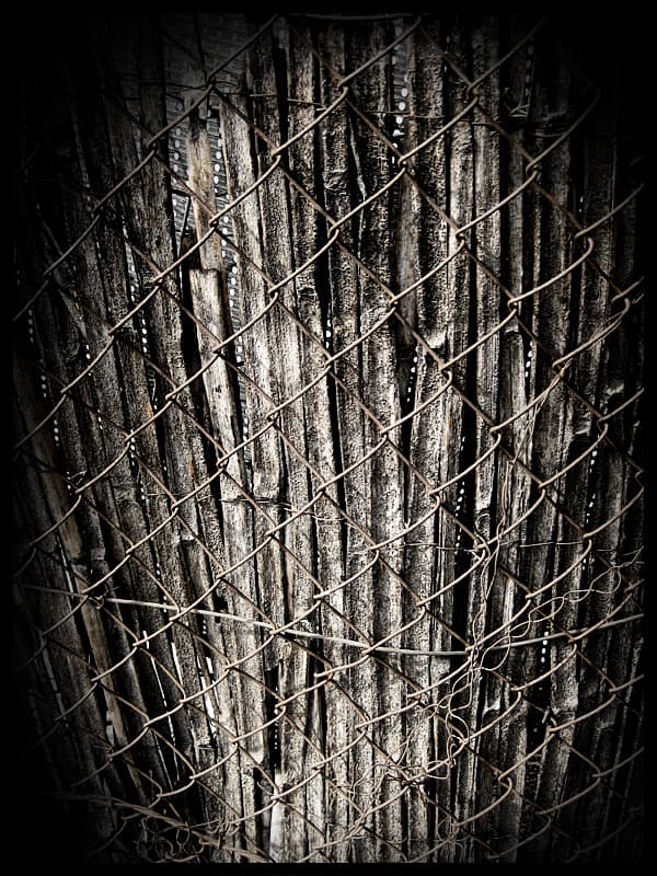 Cellule