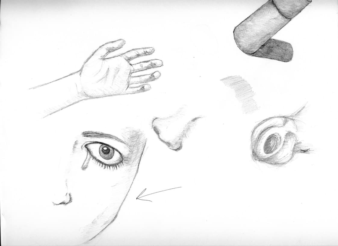 Oeil