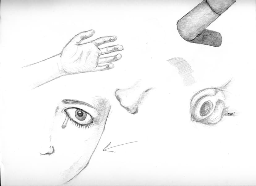 Oeil