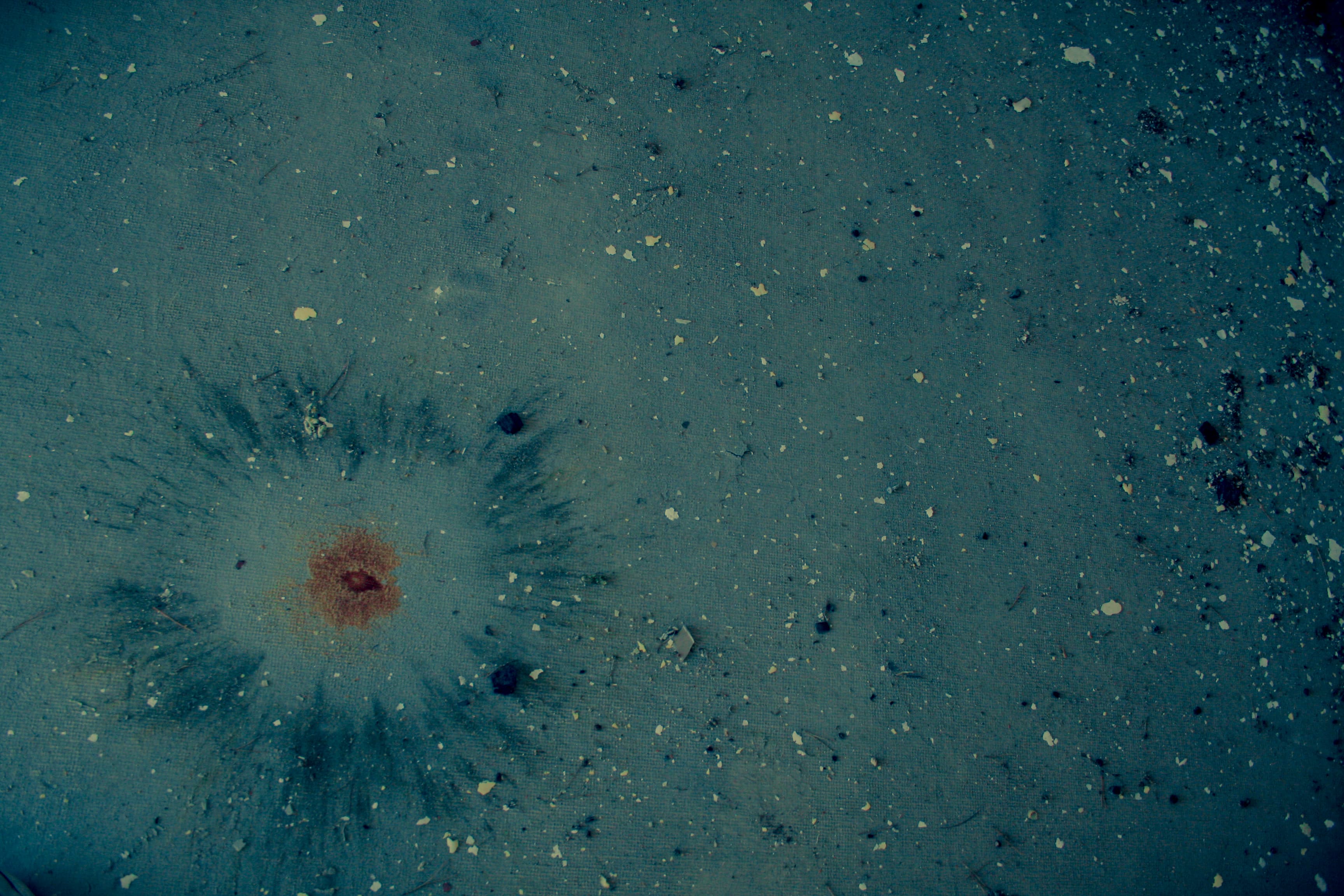 Cosmos