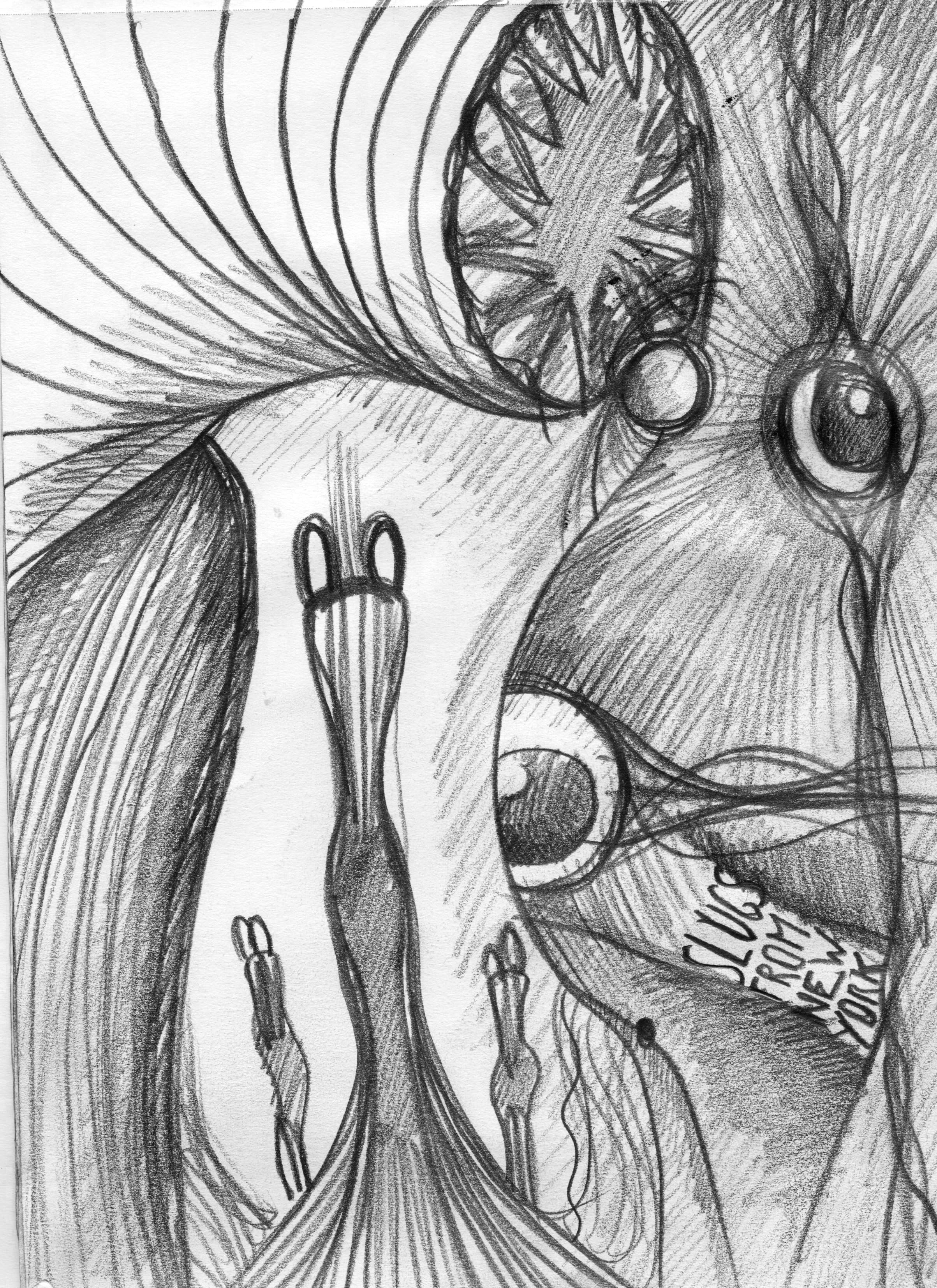 Slugs