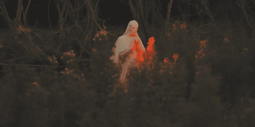 The Wraith