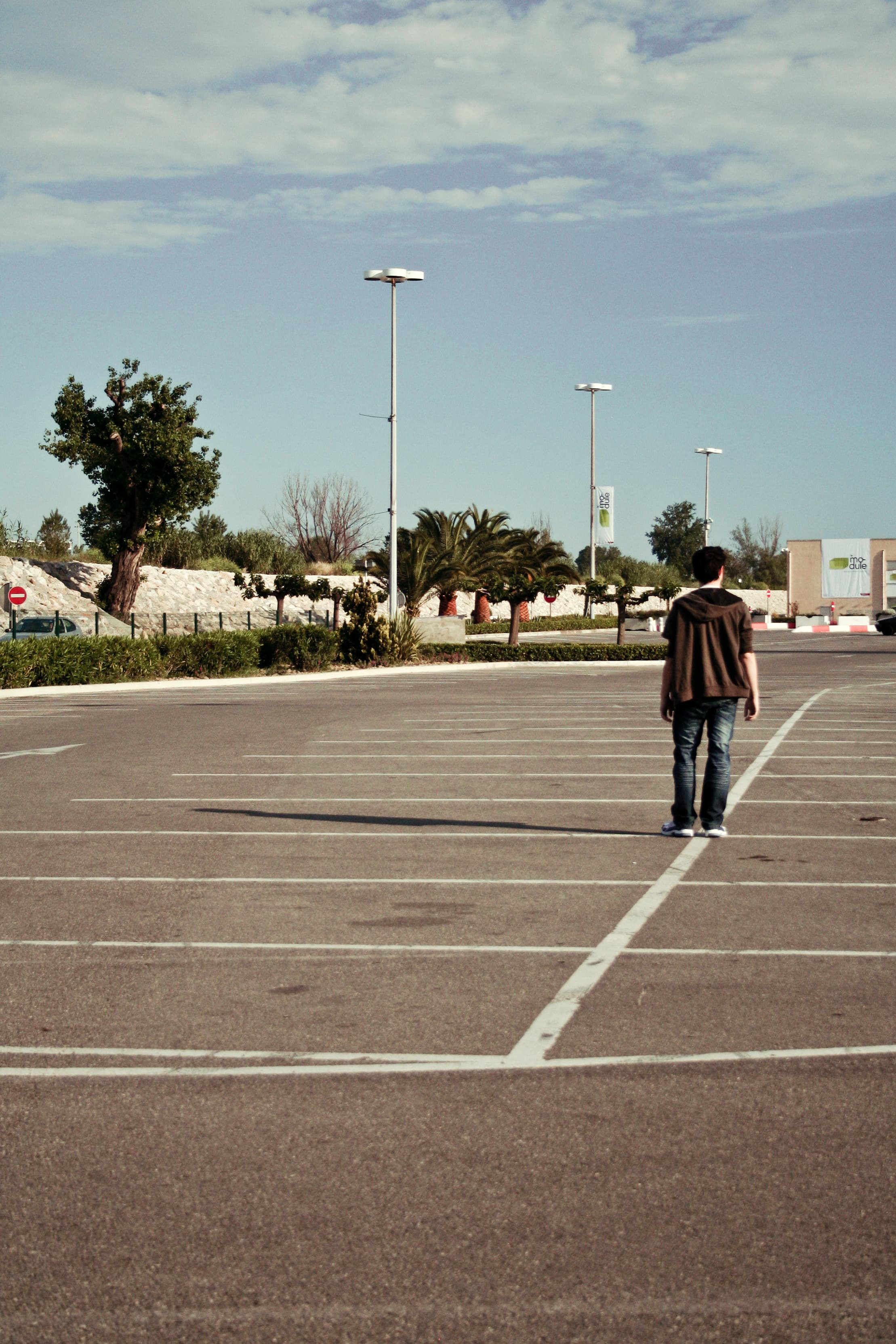 Dawn of the Dead