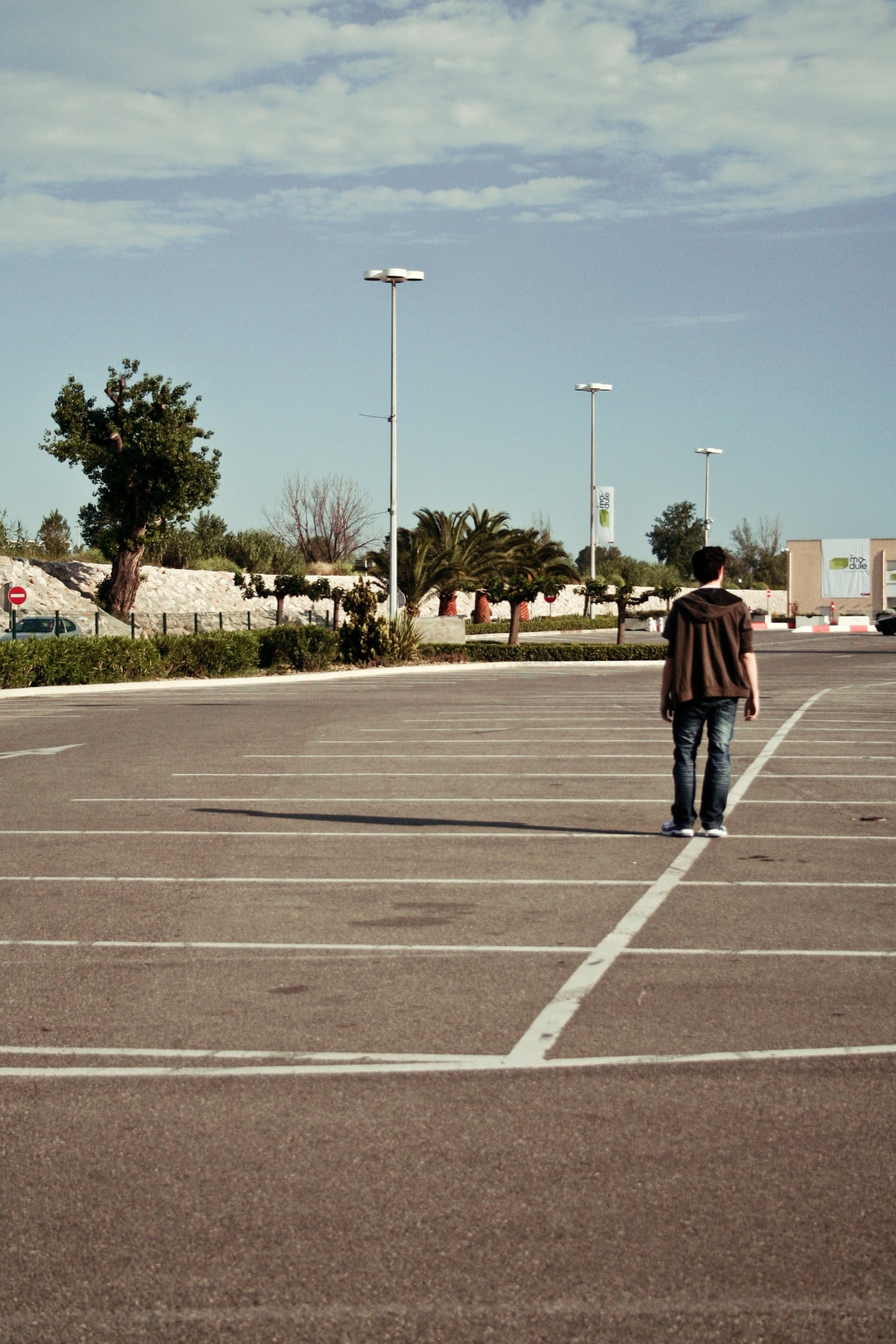Dawn of the Dead