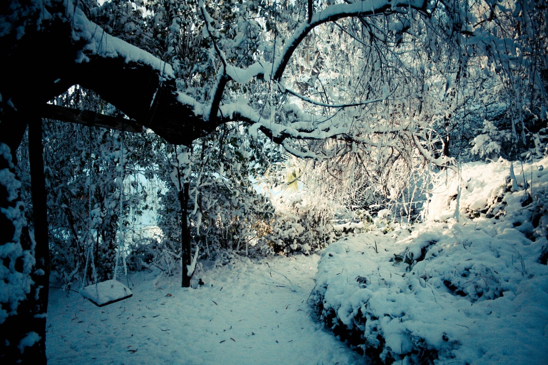 Ce matin