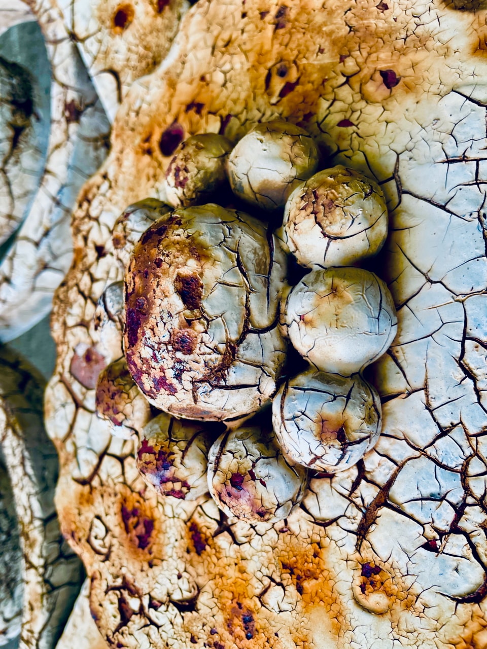 #161