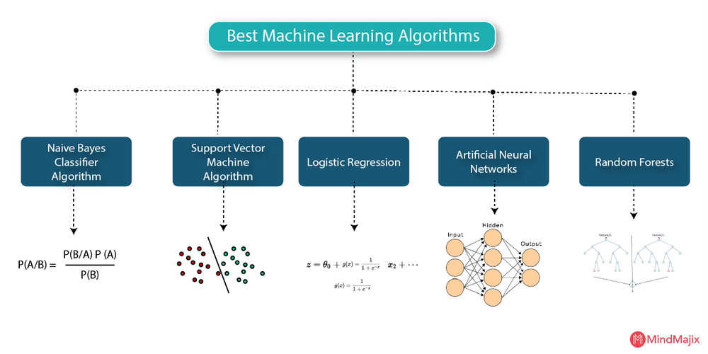 Some examples of algorithms used in machine learning