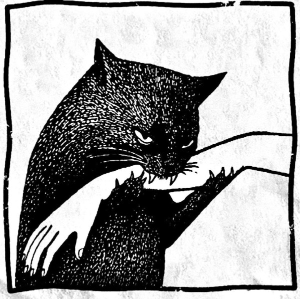 cats