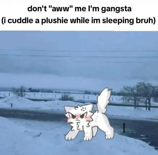gangsta
