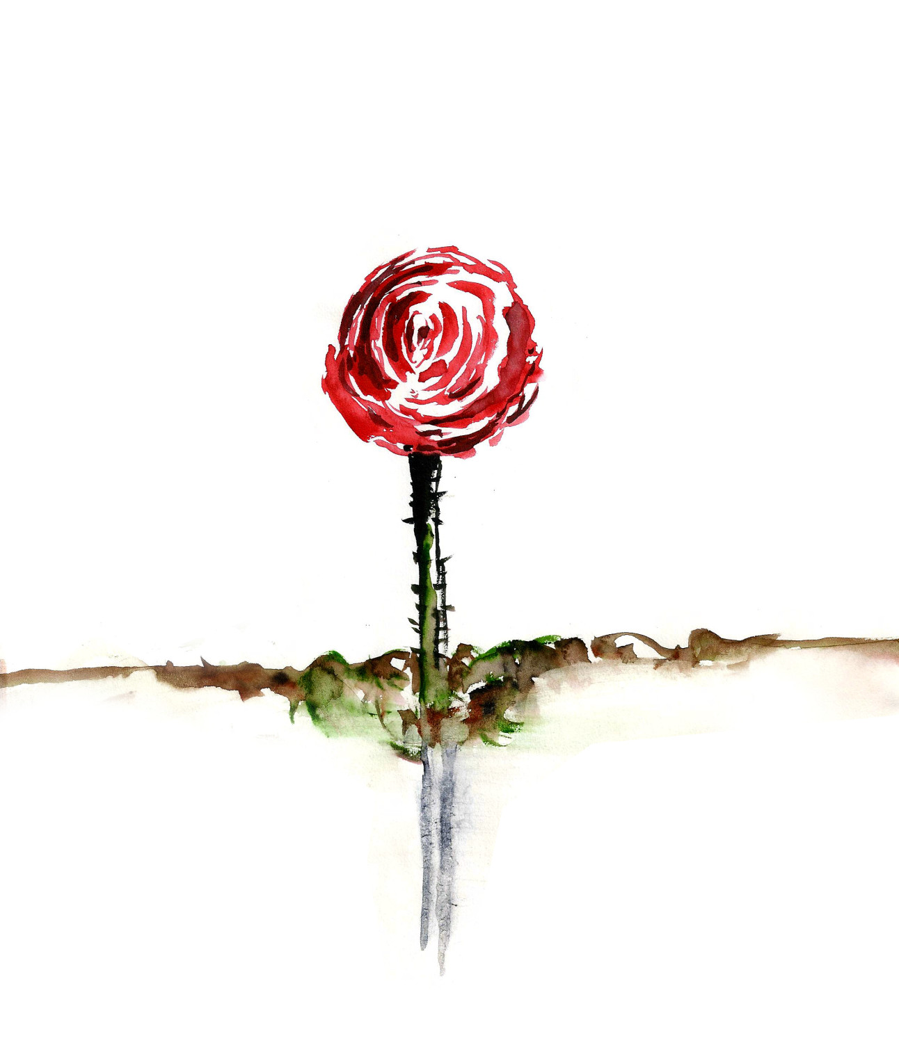 Rose