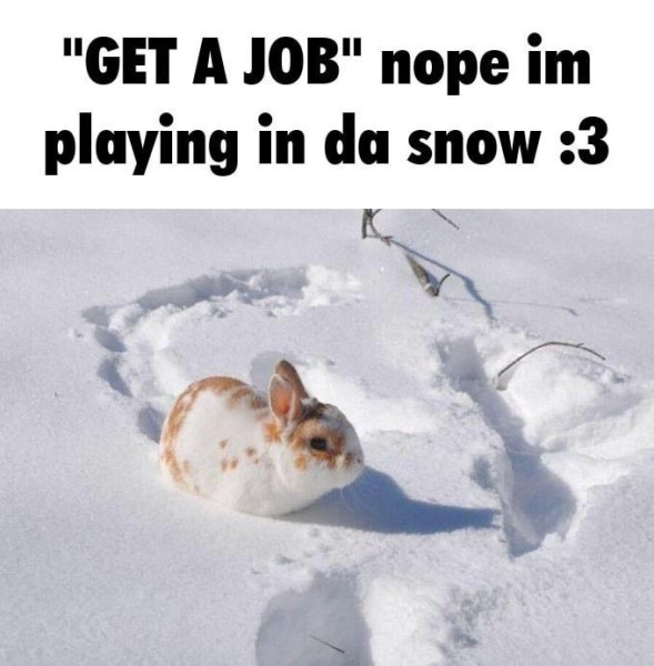snow
