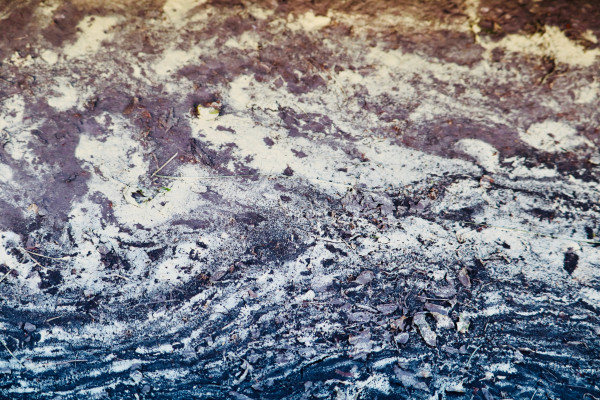jupiter rising