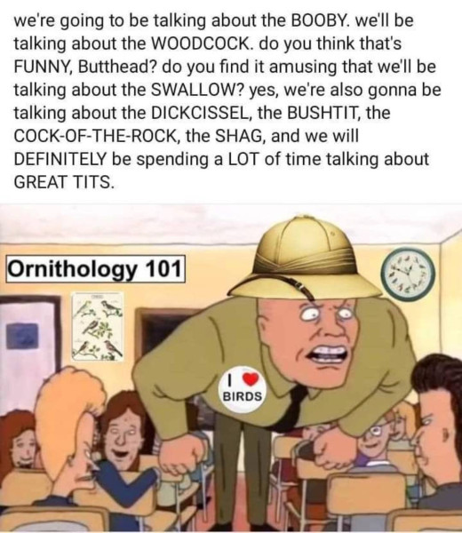 birds & bees