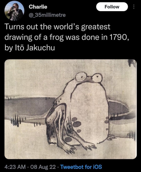 frog