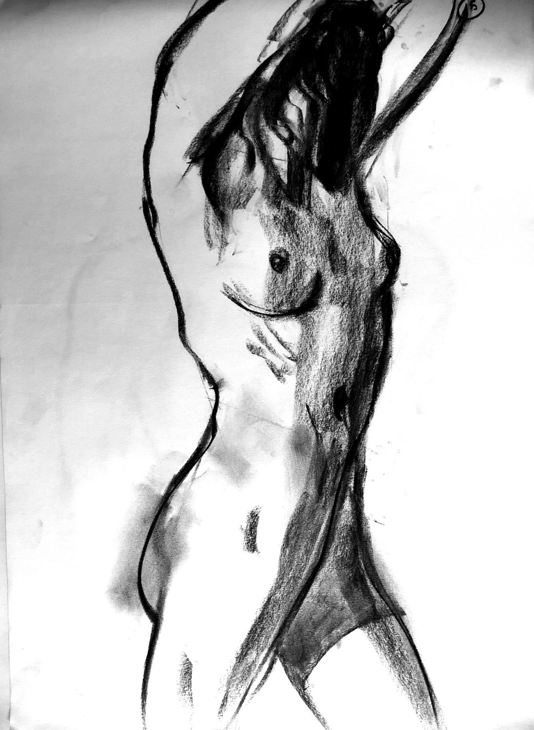 bodies