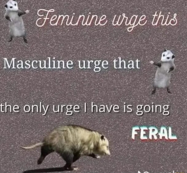 feral